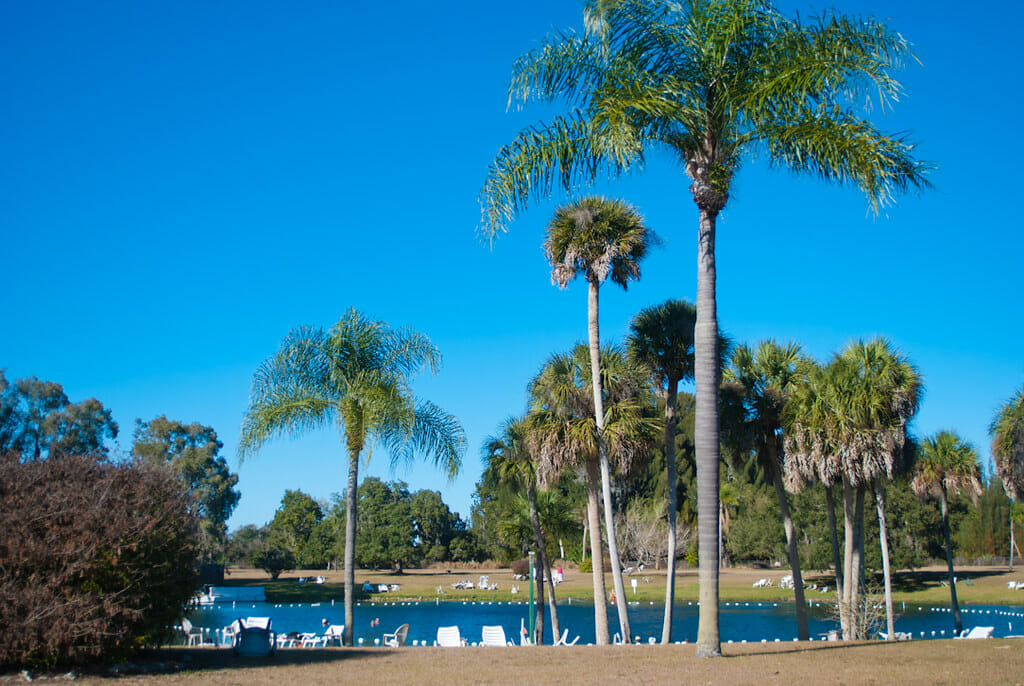 Sarasota Home 1026240
