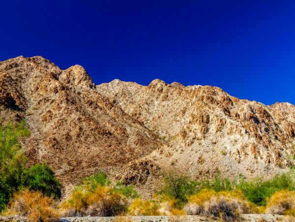La Quinta Home 1026251