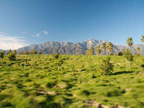 La Quinta Home 1026261