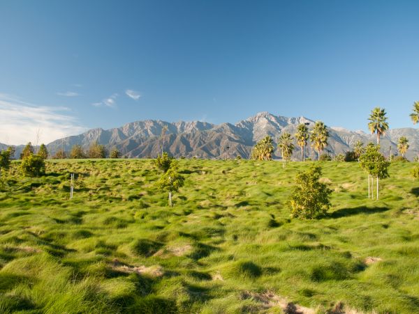 La Quinta Home 1026268