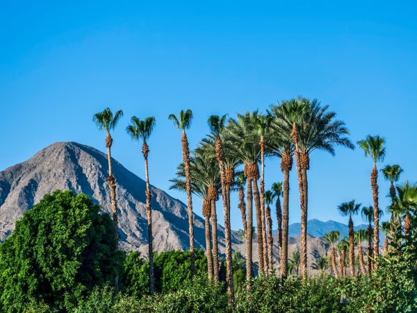 La Quinta Home 1026272