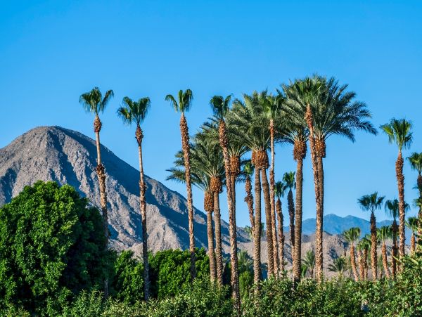 La Quinta Home 1026278