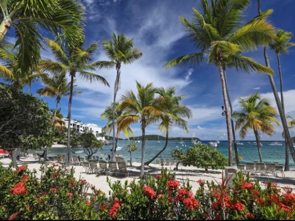 Oceanfront St. Thomas Vacation Condo Two Bedroom
