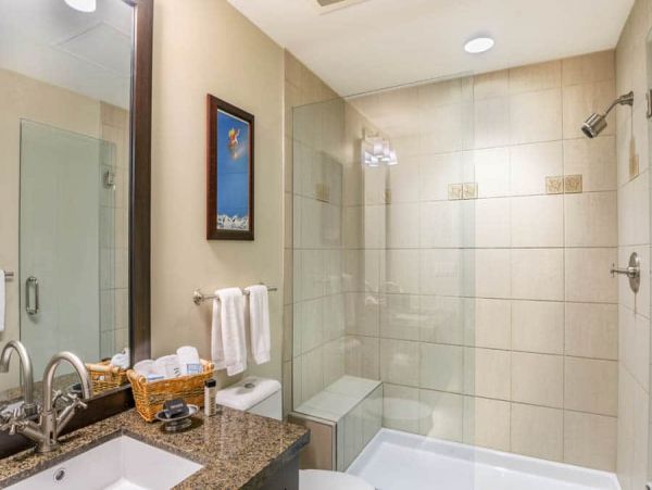 Snowmass Condo 1026332