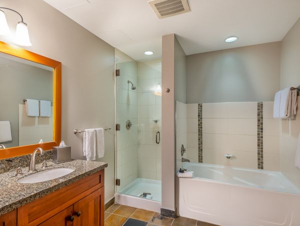 Snowmass Condo 1026335