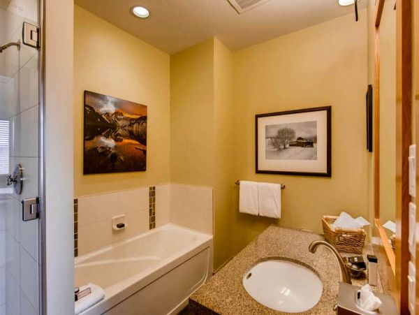 Snowmass Condo 1026338