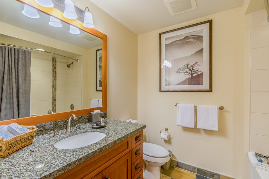 Snowmass Condo 1026341