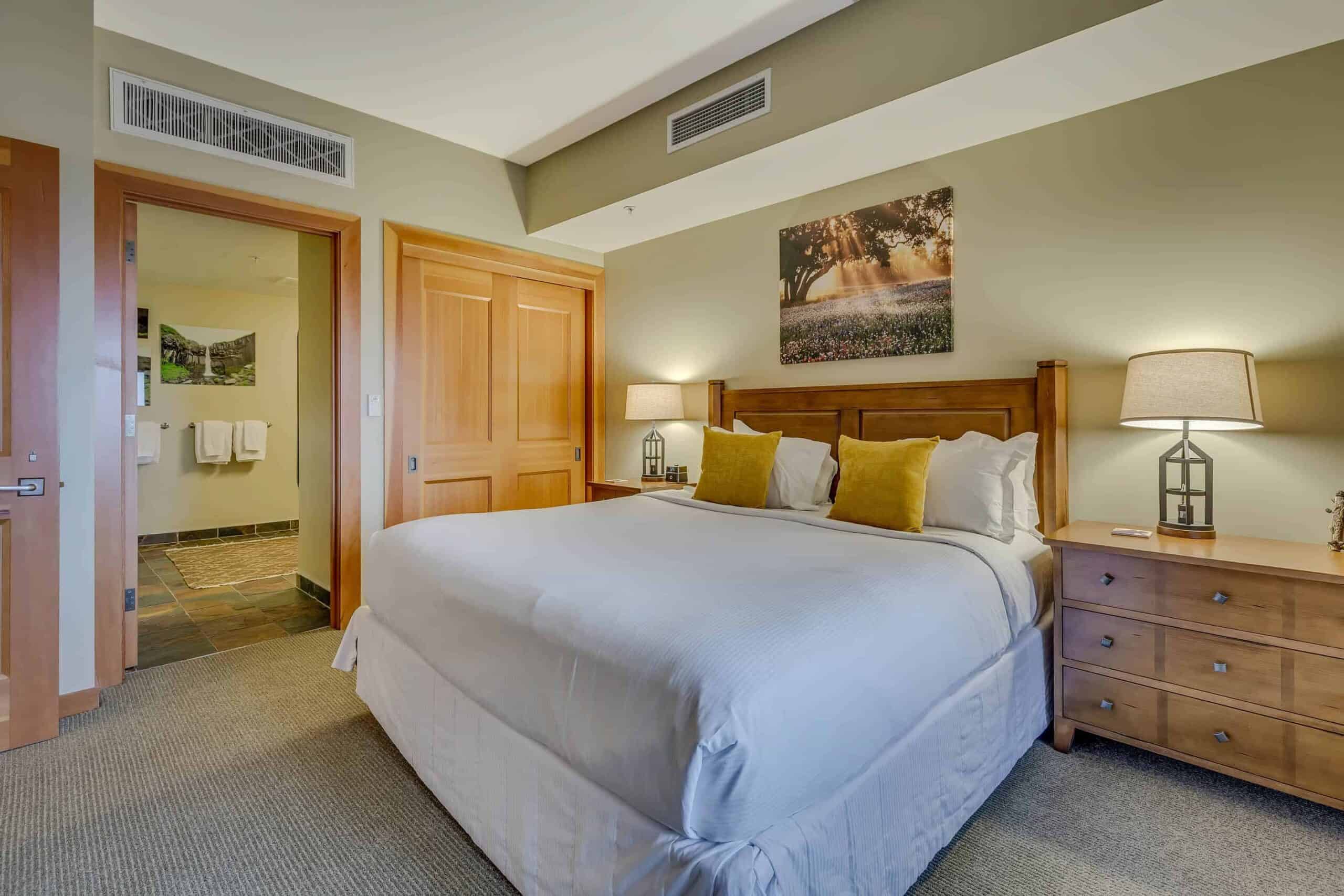 Snowmass Condo 1026345