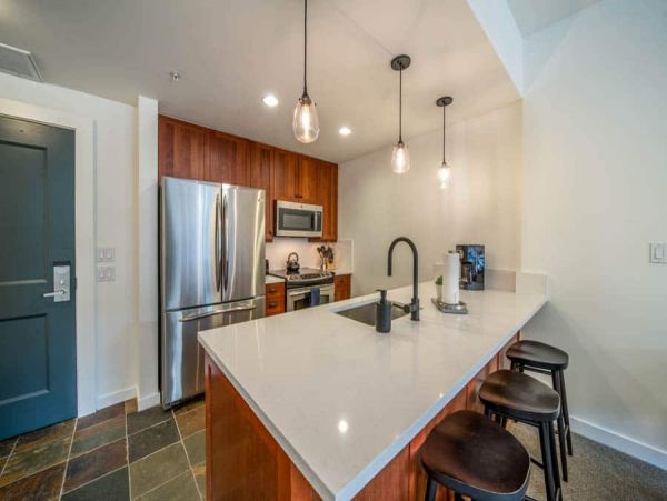Snowmass Condo 1026346
