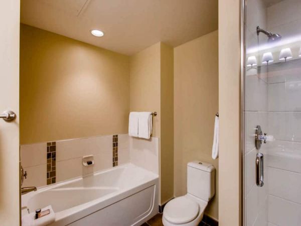 Snowmass Condo 1026347