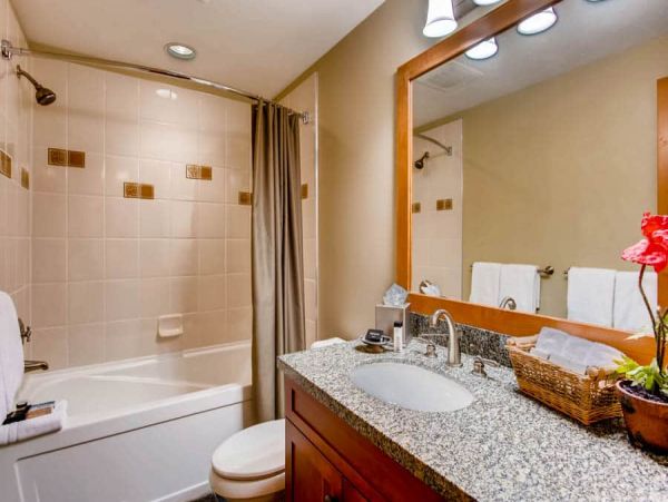 Snowmass Condo 1026348