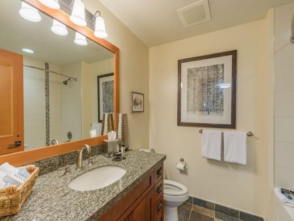 Snowmass Condo 1026354