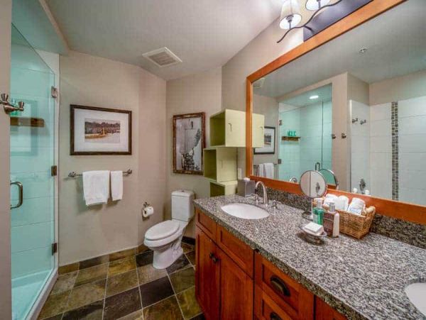 Snowmass Condo 1026355
