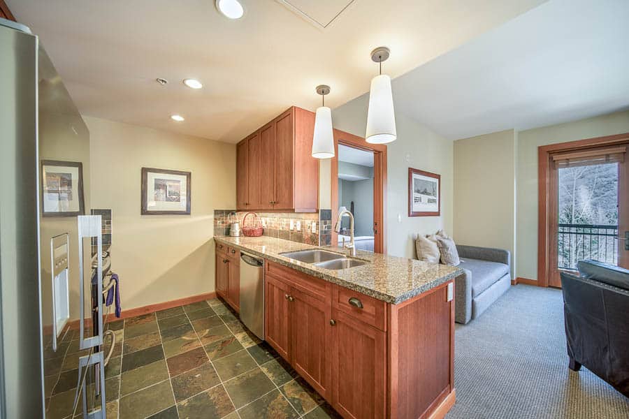 Snowmass Condo 1026358
