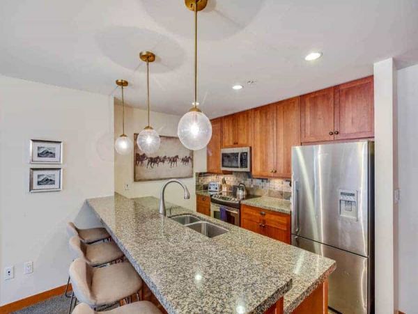 Snowmass Condo 1026361