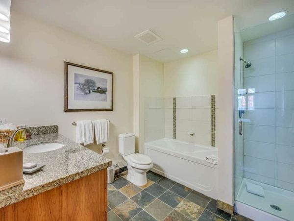 Snowmass Condo 1026361