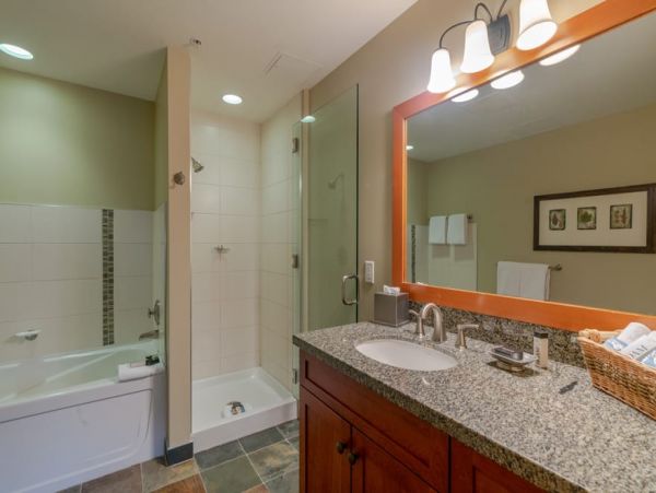 Snowmass Condo 1026365