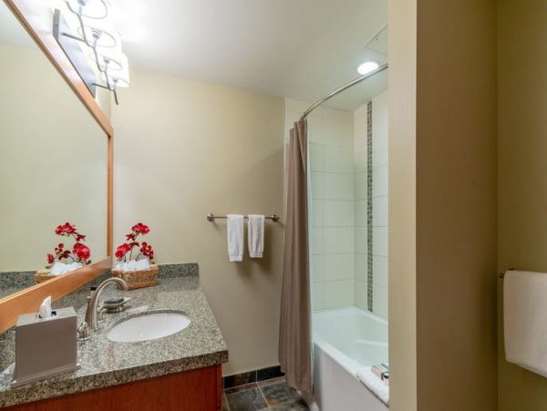 Snowmass Condo 1026365