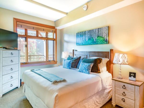 Snowmass Condo 1026367