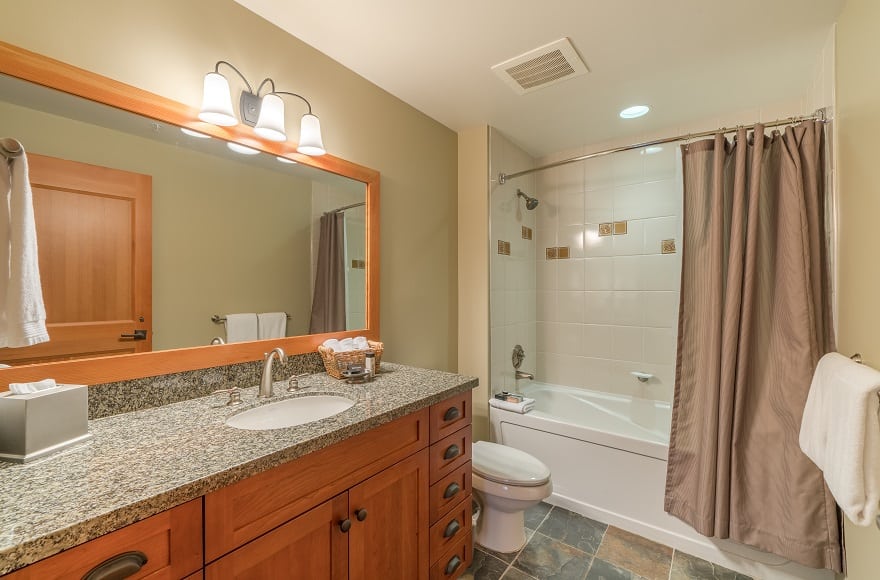 Snowmass Condo 1026369