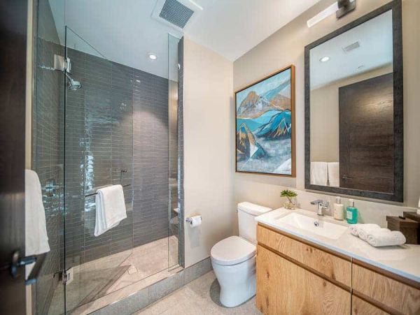 Snowmass Condo 1026380