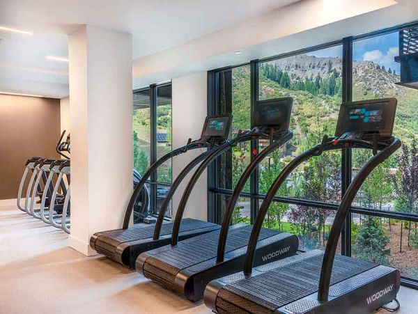 Snowmass Condo 1026381