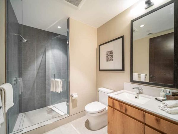 Snowmass Condo 1026382