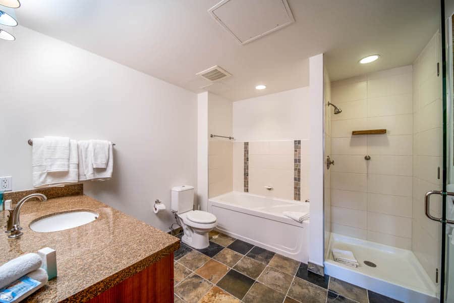 Snowmass Condo 1026389