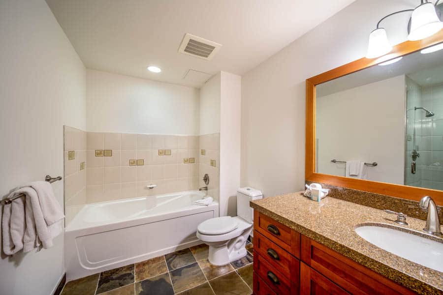 Snowmass Condo 1026389
