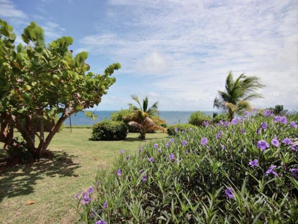 Oceanfront Martinique Vacation Home Three Bedroom
