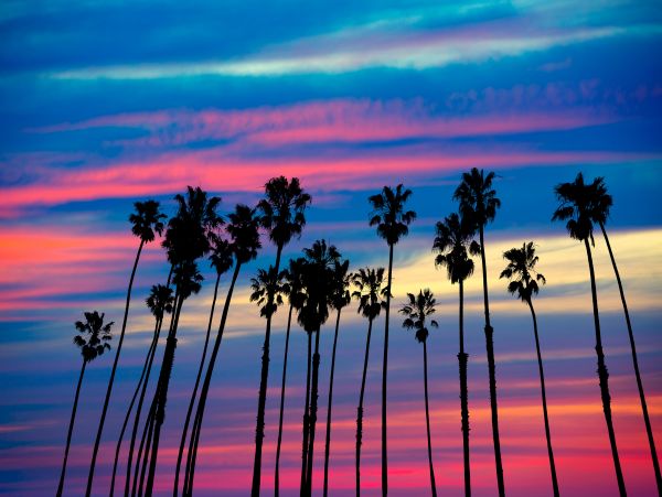 Los Angeles Home 1026424