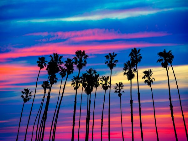 Los Angeles Home 1026433