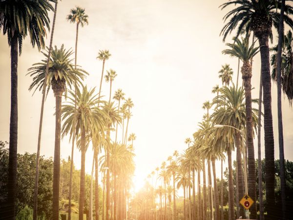 Los Angeles Home 1026446