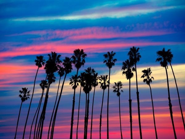 Los Angeles Home 1026463