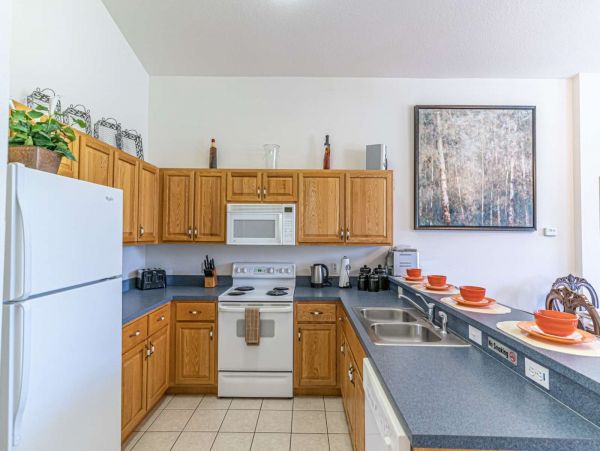 Orlando Home 1026495