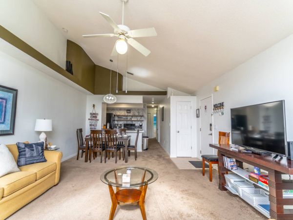 Orlando Condo 1026537