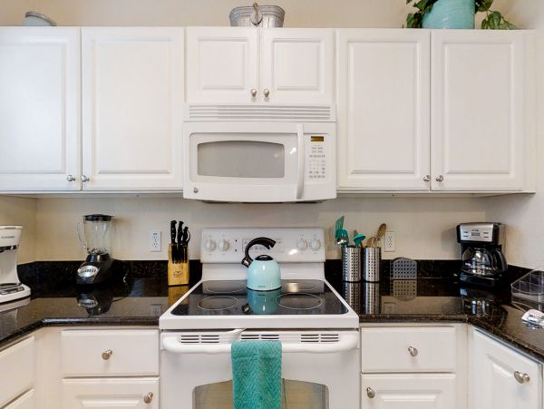 Orlando Home 1026555