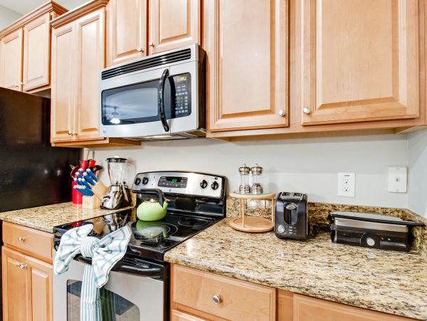 Orlando Home 1026570