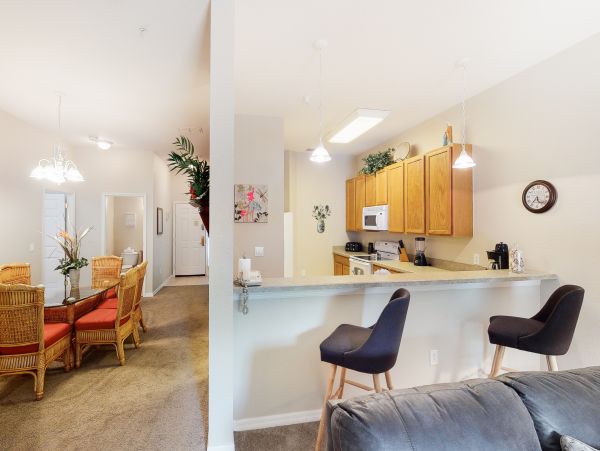 Orlando Condo 1026574