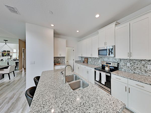 Orlando Home 1026575