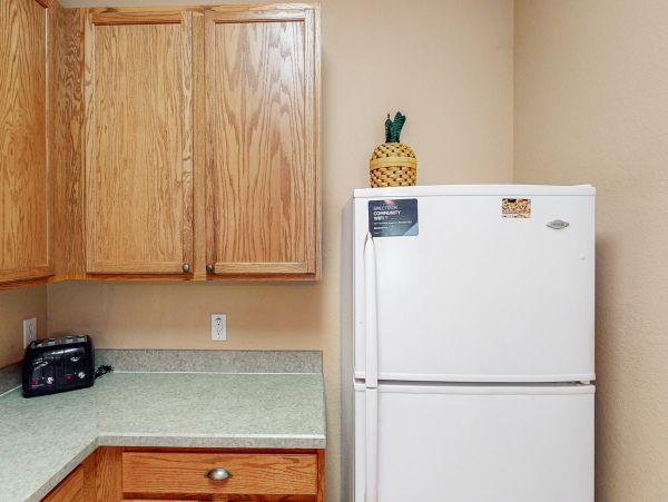 Orlando Condo 1026579