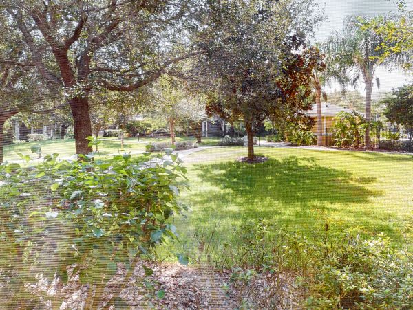 Orlando Condo 1026579