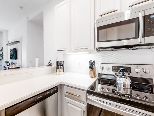 Orlando Condo 1026588