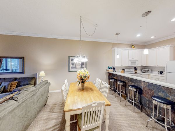 Orlando Condo 1026601