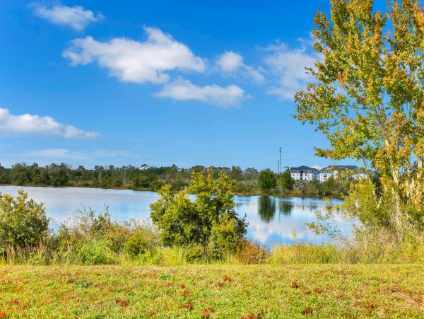 Orlando Home 1026627