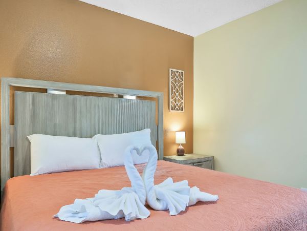 Orlando Home 1026642