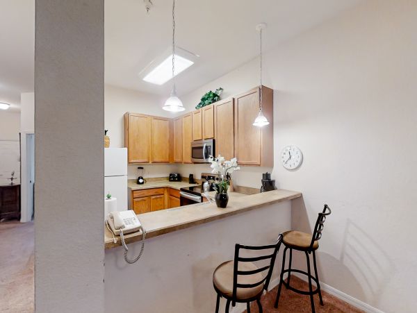 Orlando Home 1026648