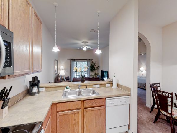 Orlando Home 1026648