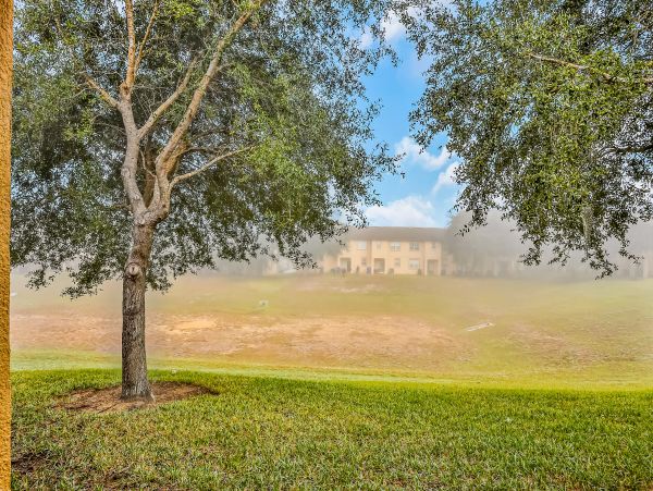 Orlando Home 1026650