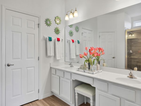 Orlando Home 1026652